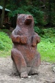 Tatranský medvěd